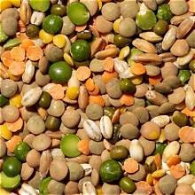 MINESTRA MISTA LEGUMI E CEREALI-100GR